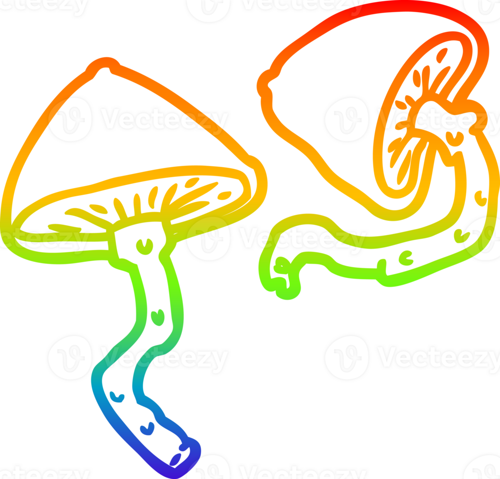 rainbow gradient line drawing of a wild mushrooms png