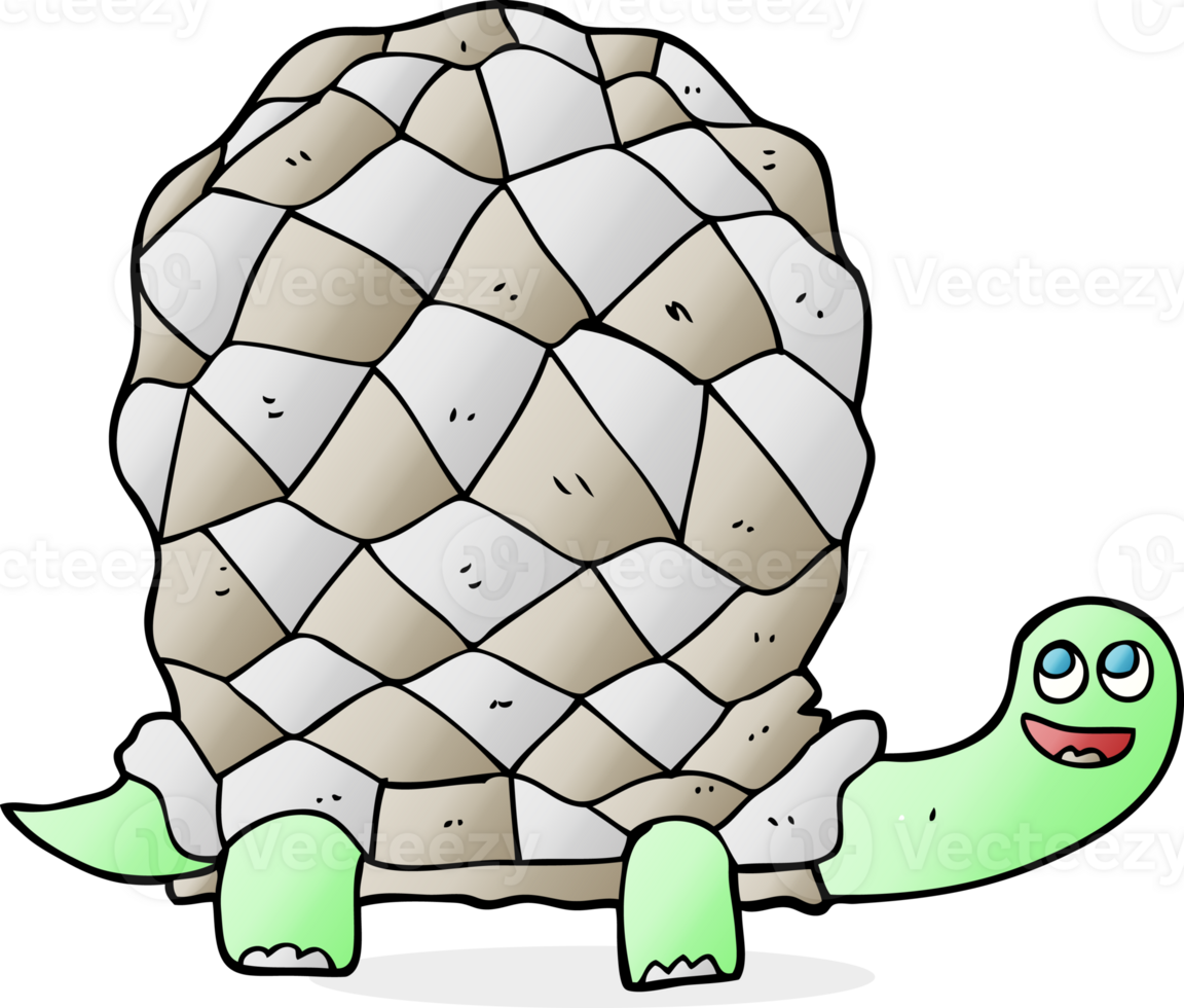 hand drawn cartoon tortoise png