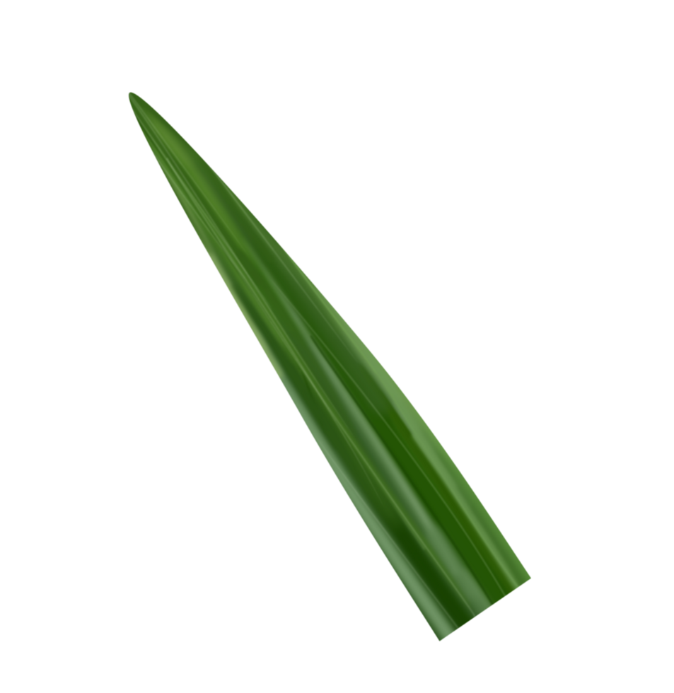 Pandan Leaf Illustration png