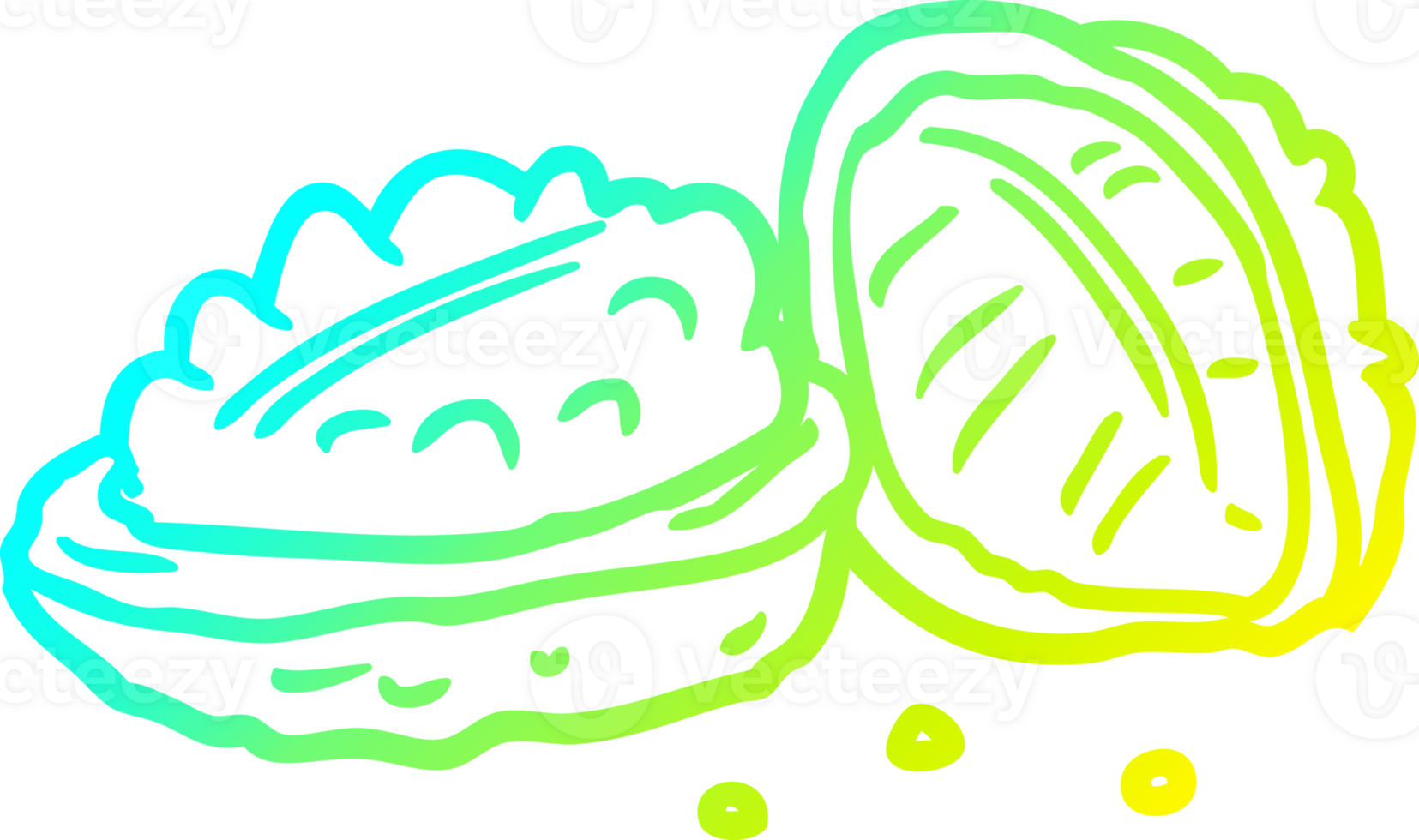 cold gradient line drawing of a walnuts png