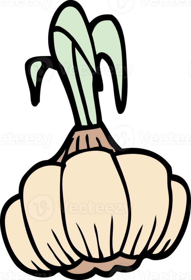 cartoon doodle sprouting garlic png
