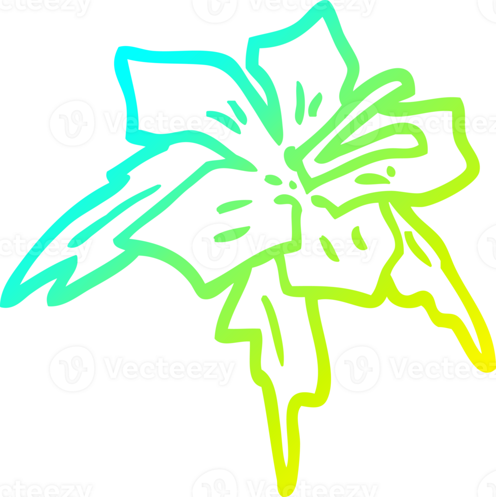 cold gradient line drawing of a cartoon lilly png