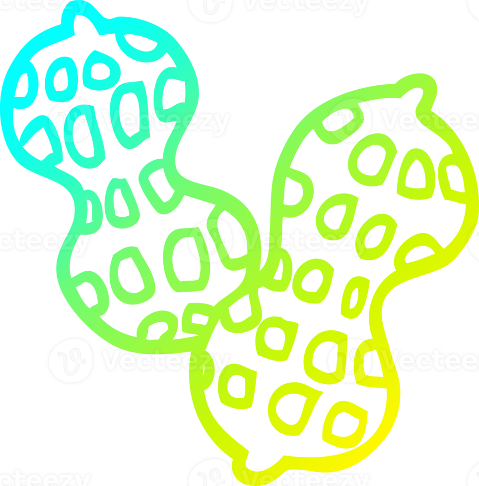cold gradient line drawing of a cartoon peanut png