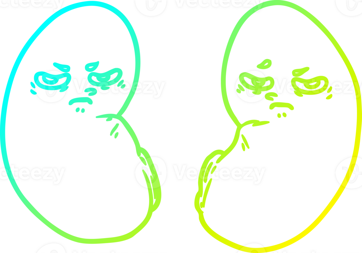 cold gradient line drawing of a cartoon irritated kidneys png