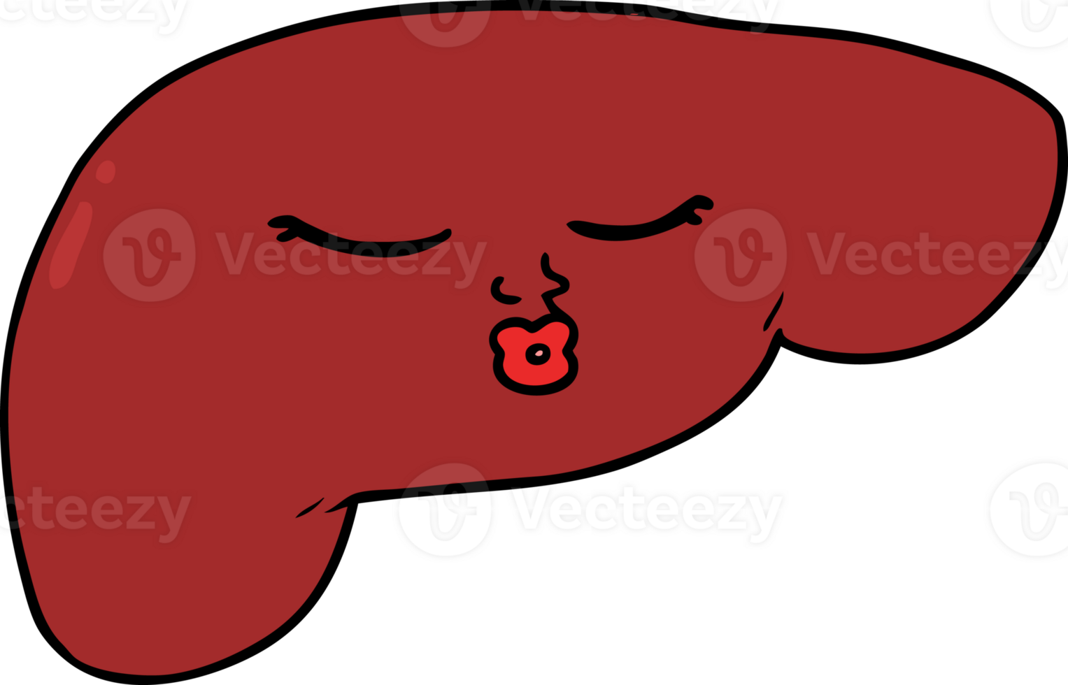 cartoon pretty liver png
