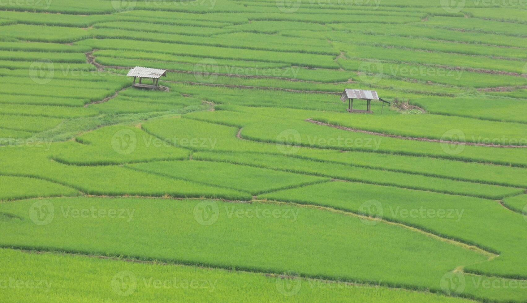 Top vieAeriel view of terrace rice field with old hut at Nan province, Thaoland.w of terrace rice field with old hut at Nan province, Thaoland. photo