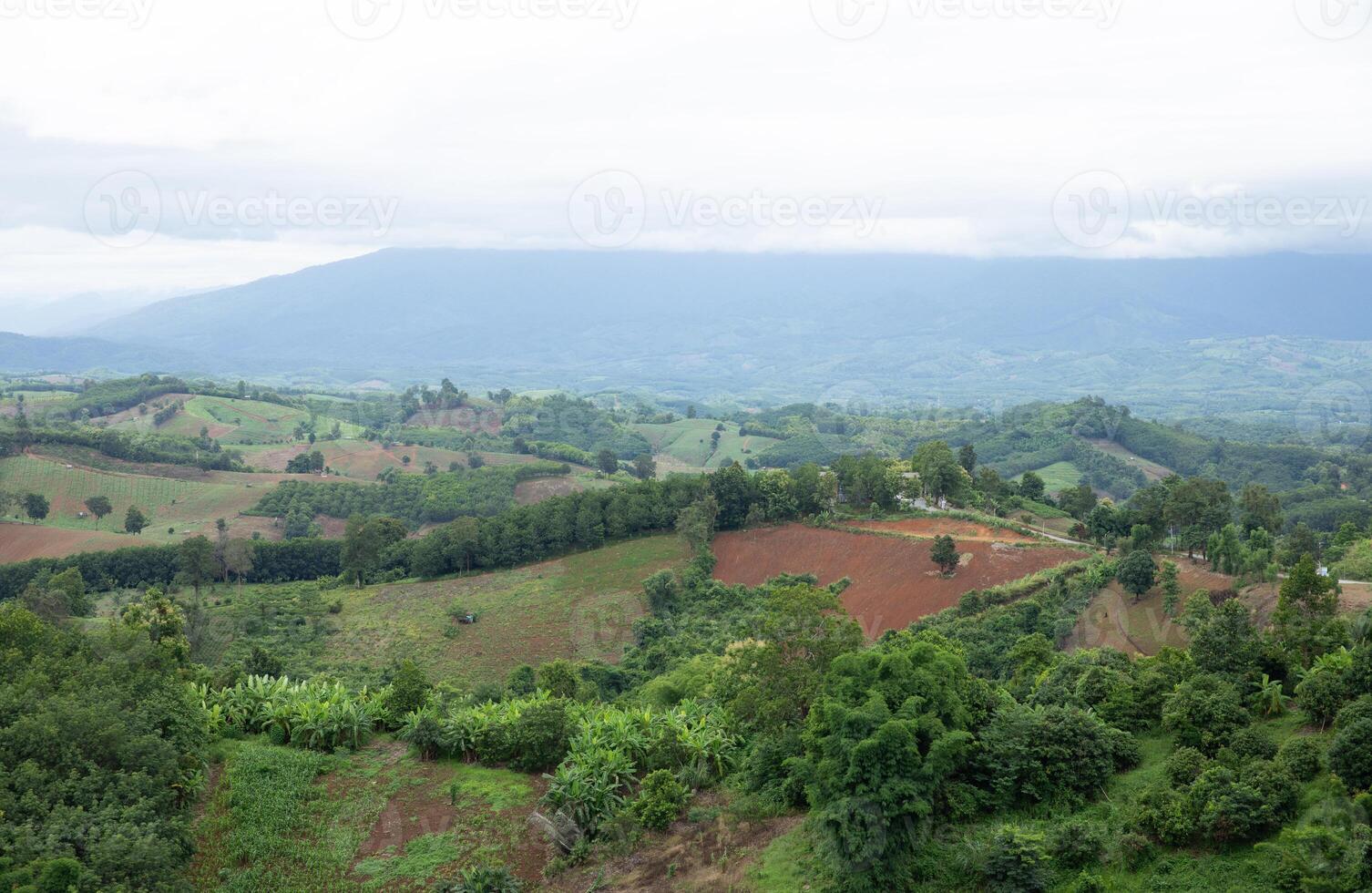 Aerial view landscape of plantation area and green trees on complicated hill in Nan province, northern of Thailand. photo