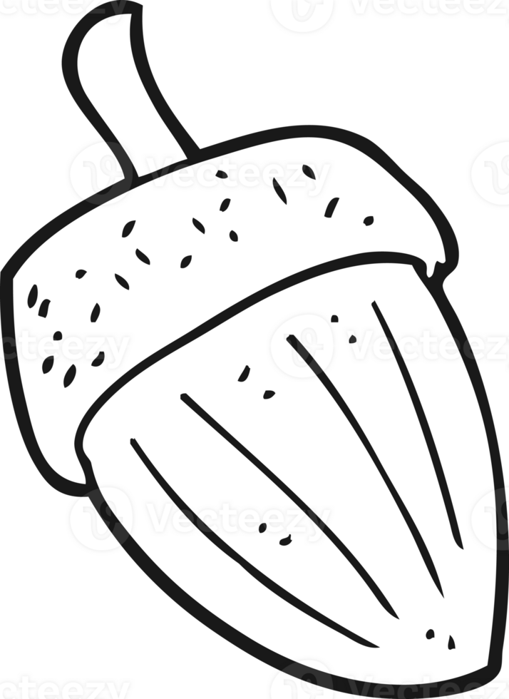 hand drawn black and white cartoon acorn png