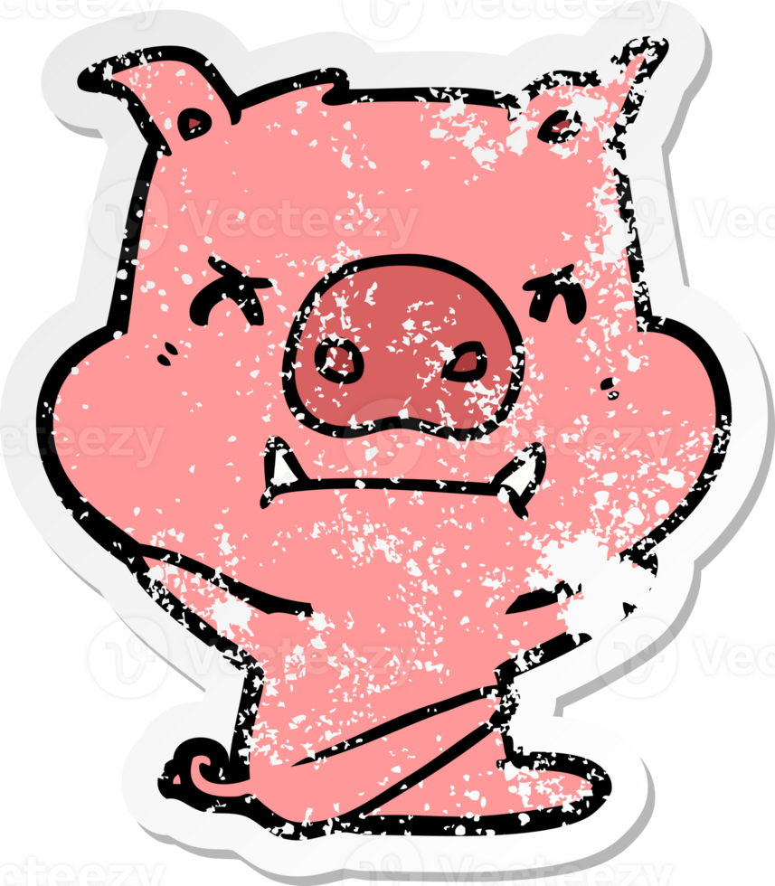 distressed sticker of a angry cartoon pig throwing tantrum png