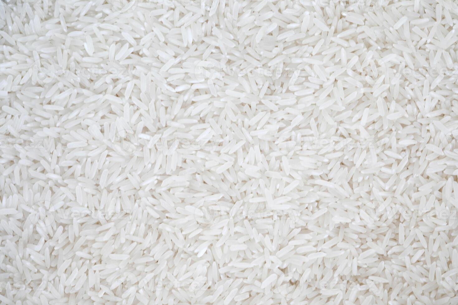 Jasmine or Basmati rice grains background photo