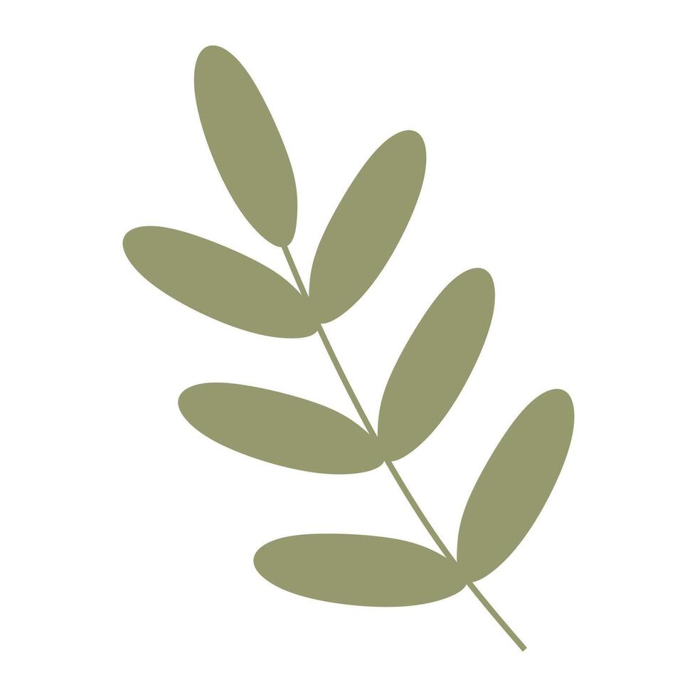 Flat Green Palm tree Branch, Cartoon Acacia Leaves. Closeup isolated Illustration on white background. Botany design Element for Card, Spring Holidays Decoration, Wedding Invitation. vector