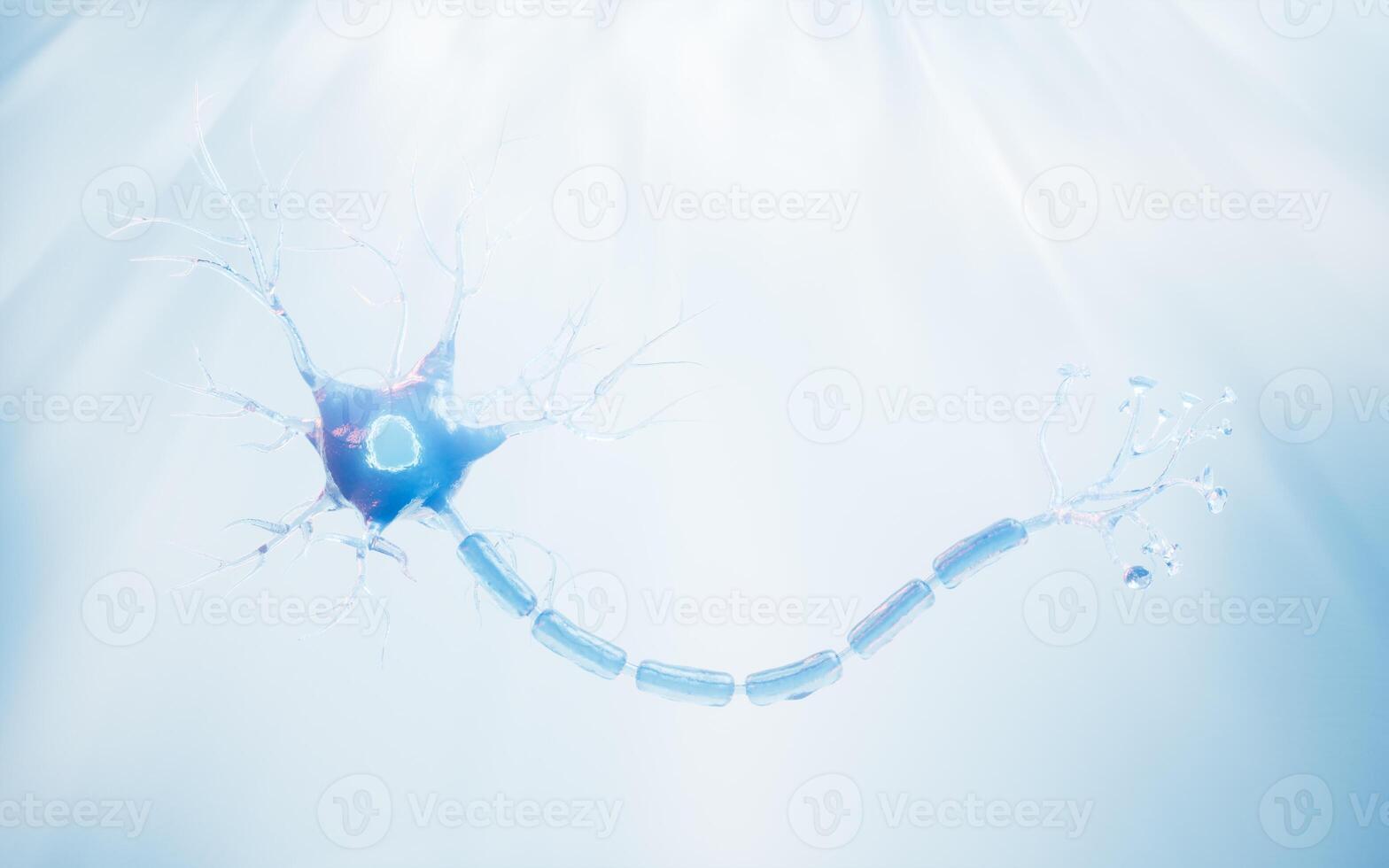 Biology nerve cell with biomedicine concept, 3d rendering. photo