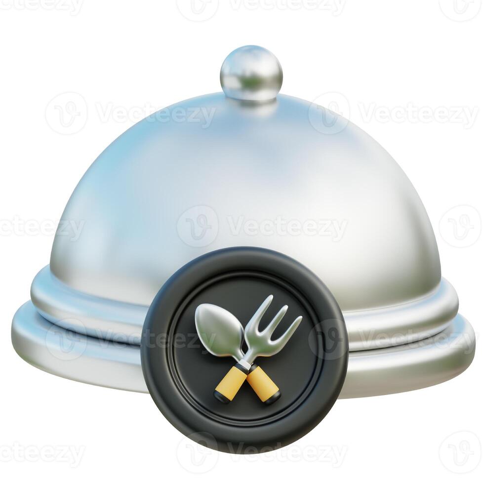 Food tray 3d icon photo