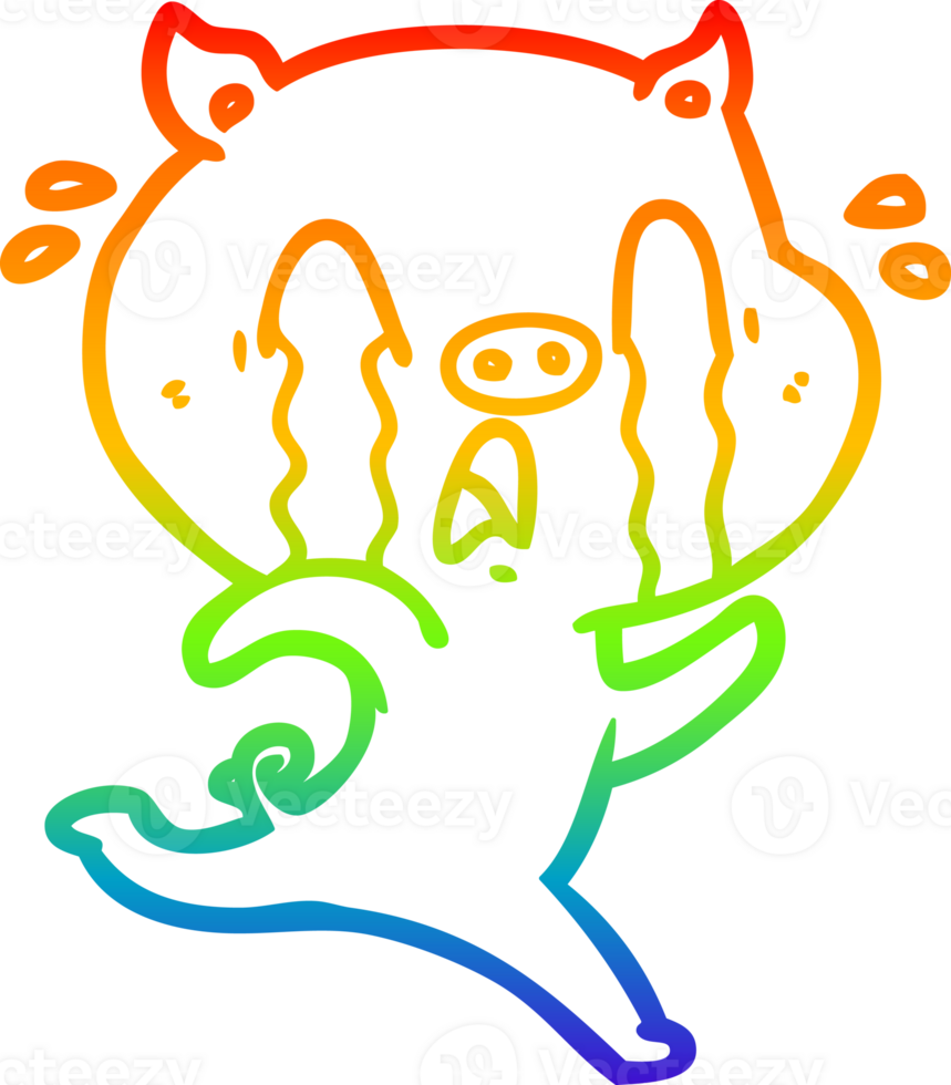 rainbow gradient line drawing of a crying pig cartoon png