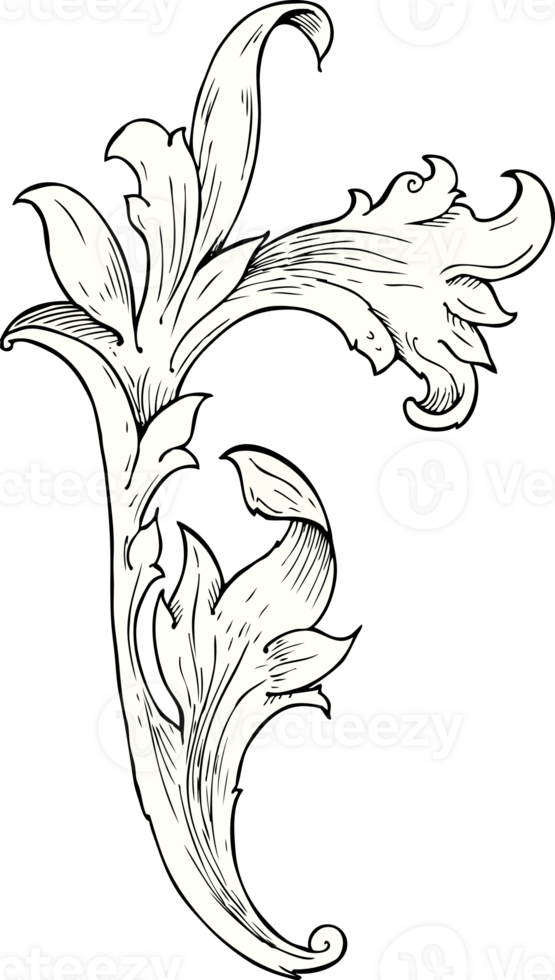 traditional hand drawn floral swirl png