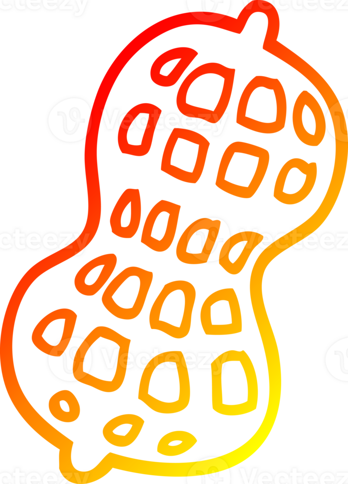 warm gradient line drawing of a cartoon peanut png