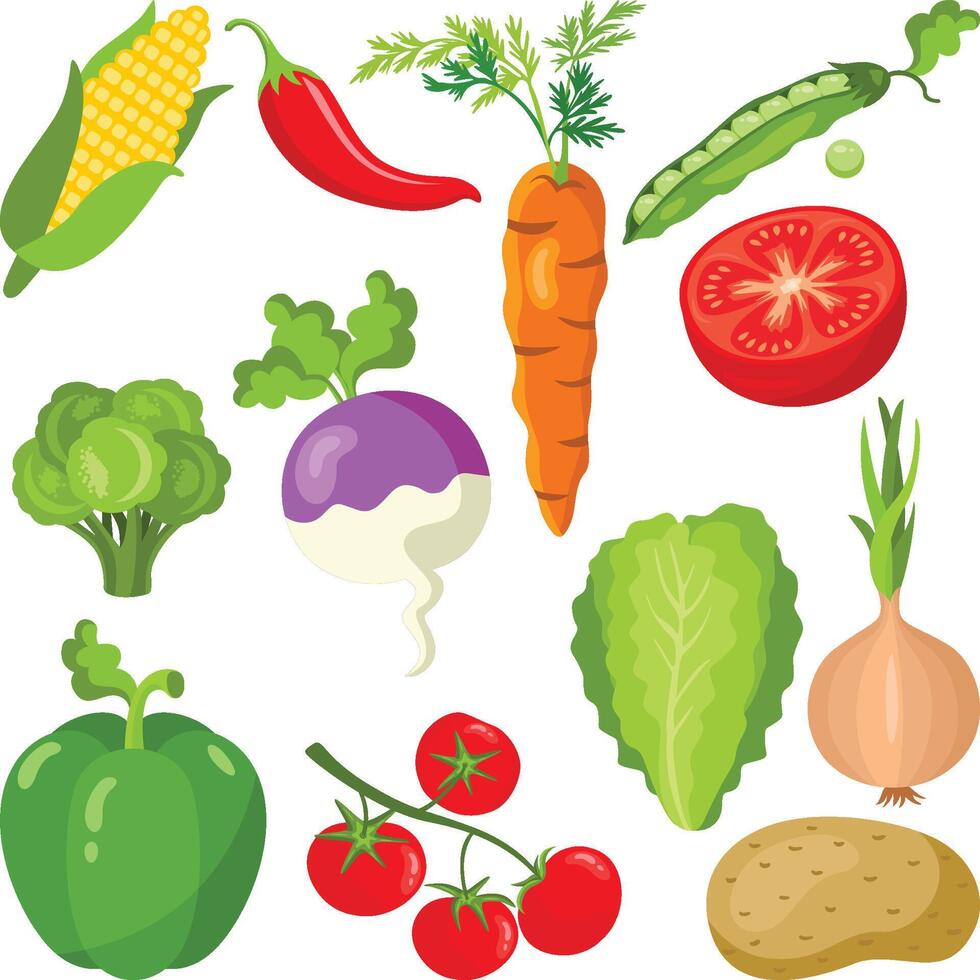 Set digital collage of different fresh vegetables vector