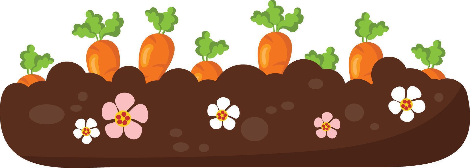 Carrots growing in the dirt in the backyard vector