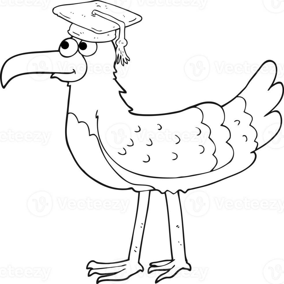drawn black and white cartoon seagull with graduate cap png