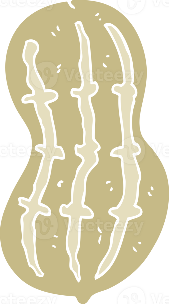 flat color illustration of peanut png