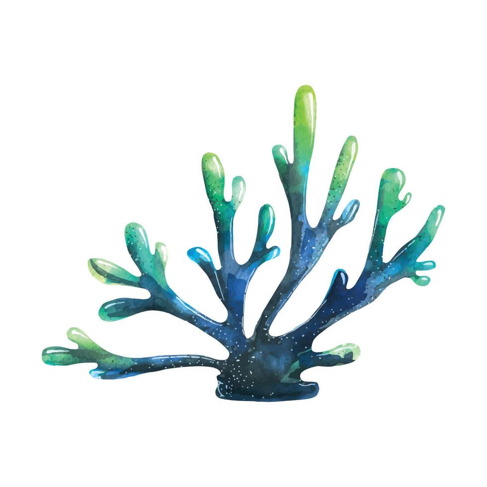 Watercolor illustration of a branch of blue sea coral. Isolated object on a white background. For the design and decoration of postcards, posters, prints, banners. vector