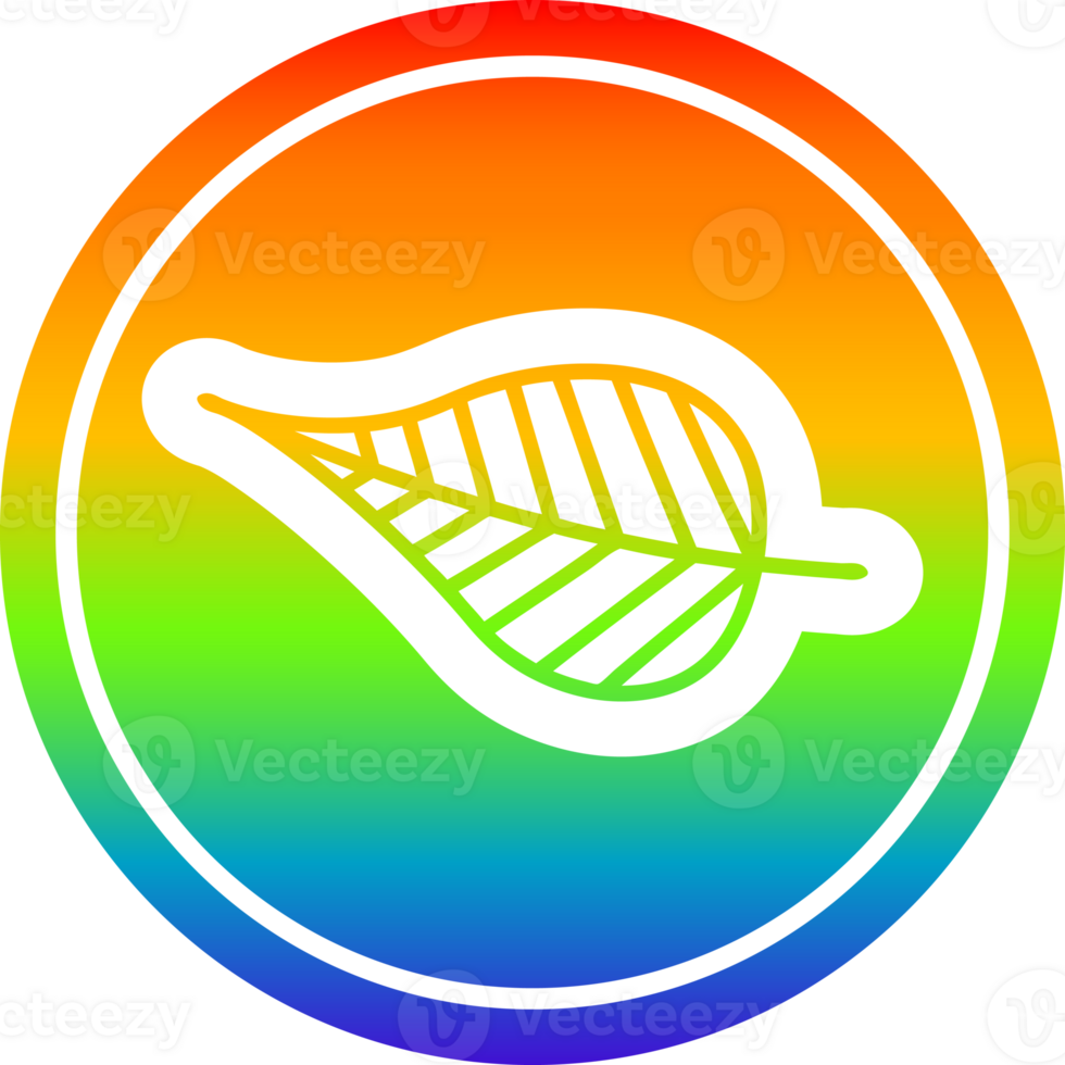 natural leaf circular icon with rainbow gradient finish png