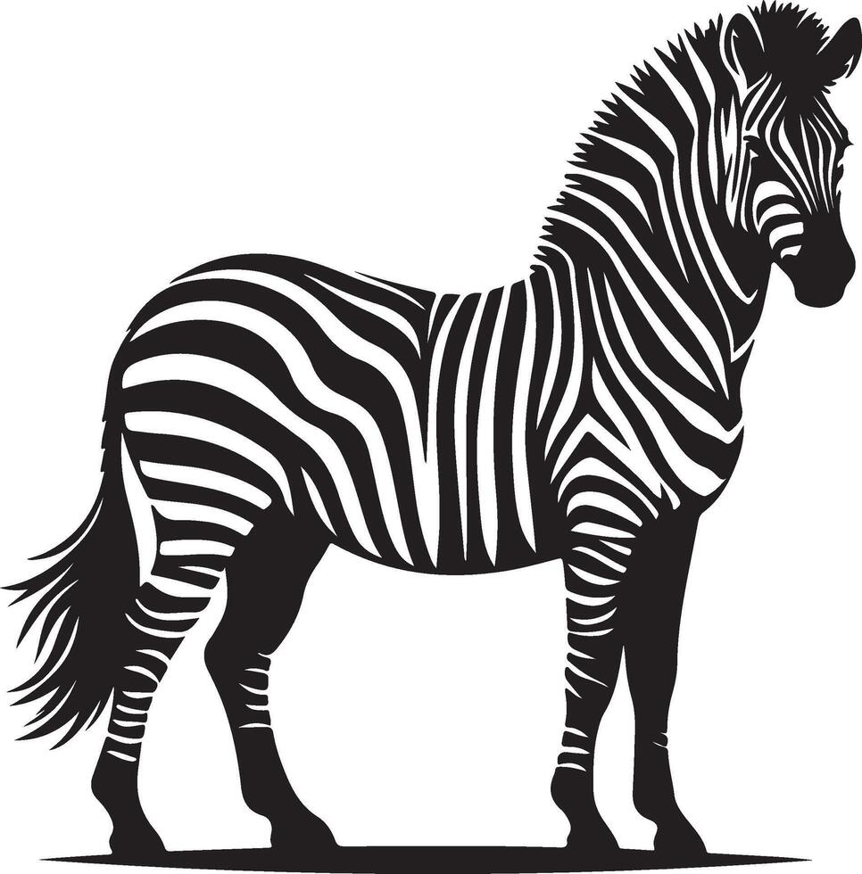 silhouette of zebra illustration vector