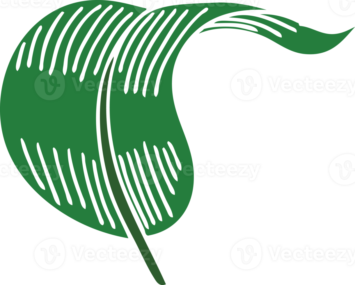 hand drawn quirky cartoon blowing leaf png