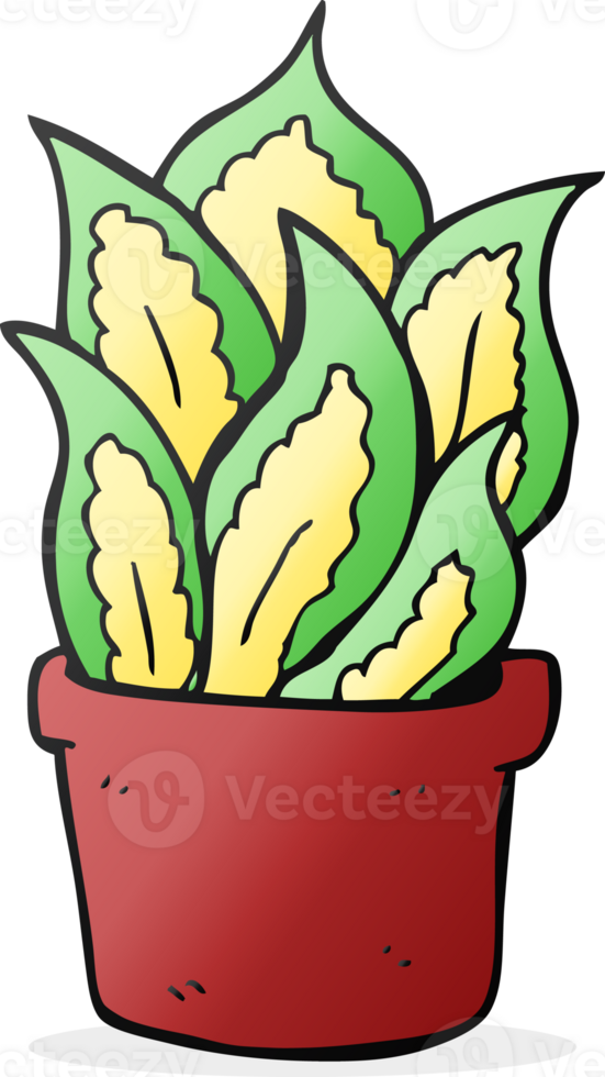 hand drawn cartoon house plant png
