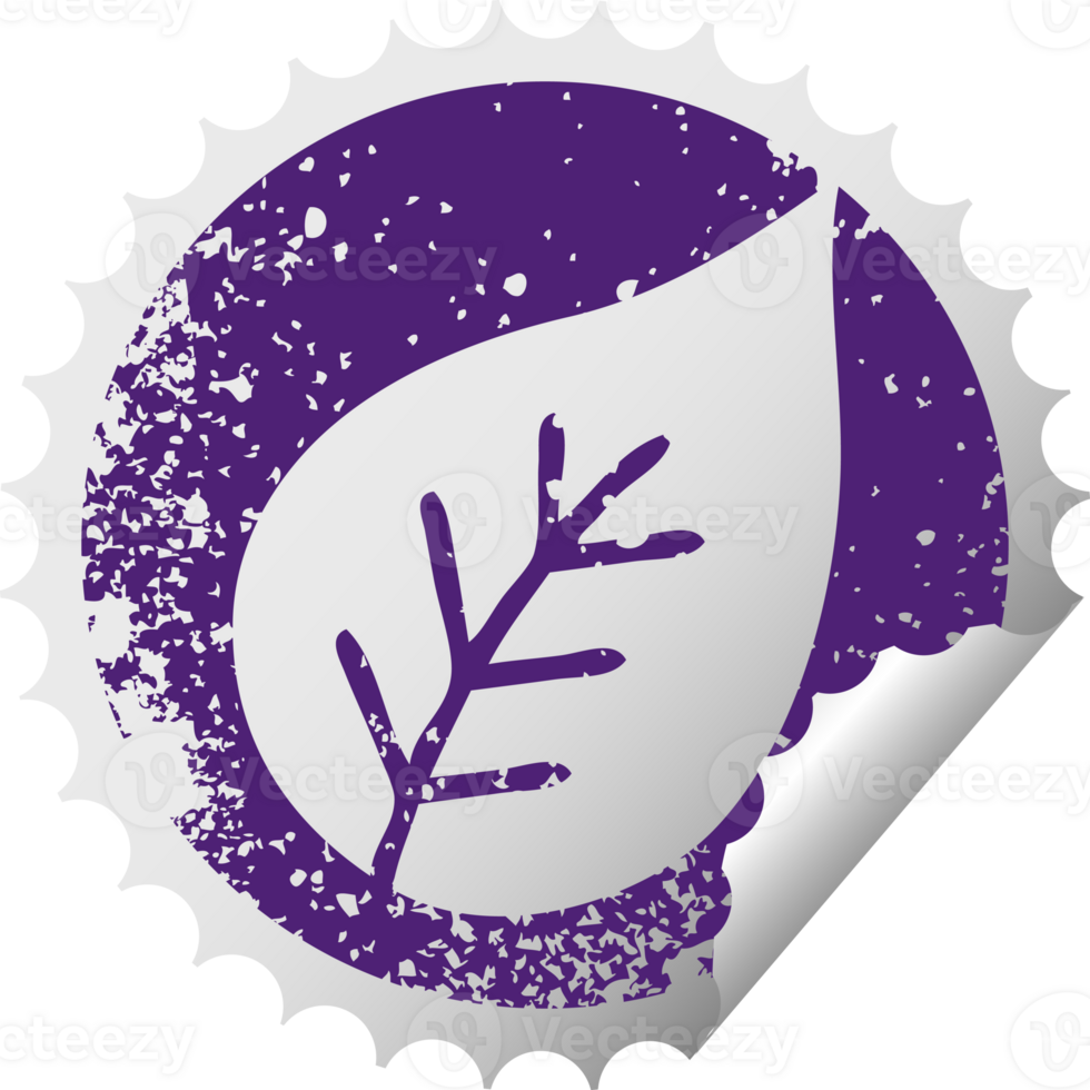 distressed circular peeling sticker symbol of a autumn leaf png