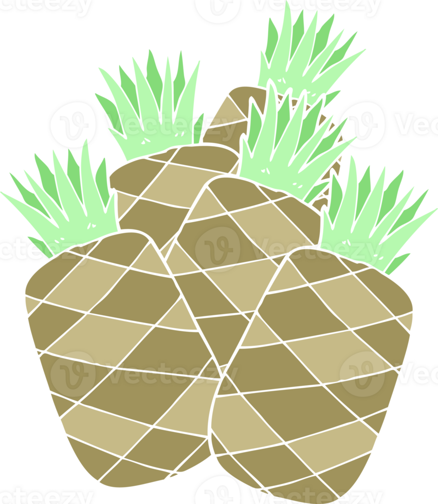flat color illustration of pineapples png