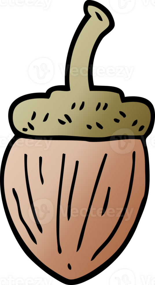 cartoon doodle acorn png