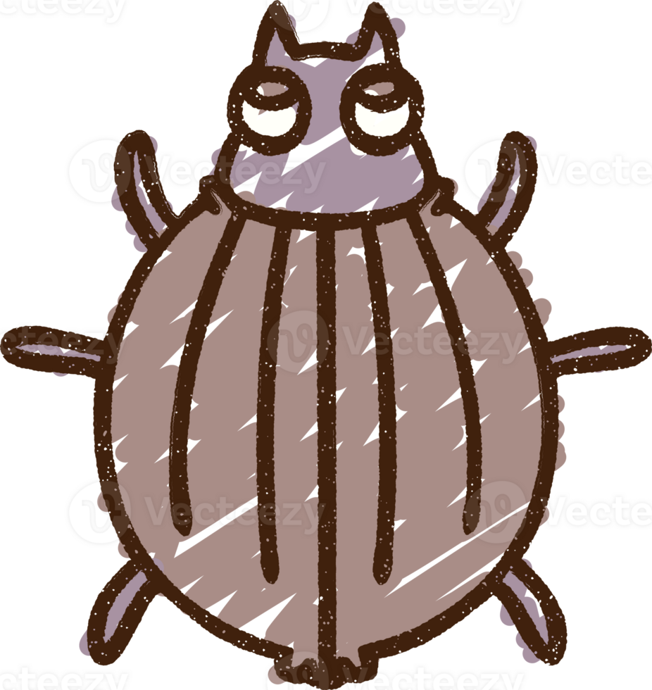 Beetle Chalk Drawing png