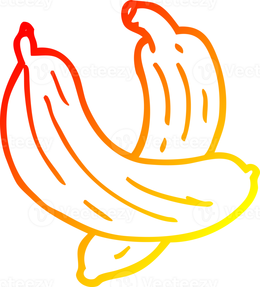warm gradient line drawing of a cartoon pair of  bananas png