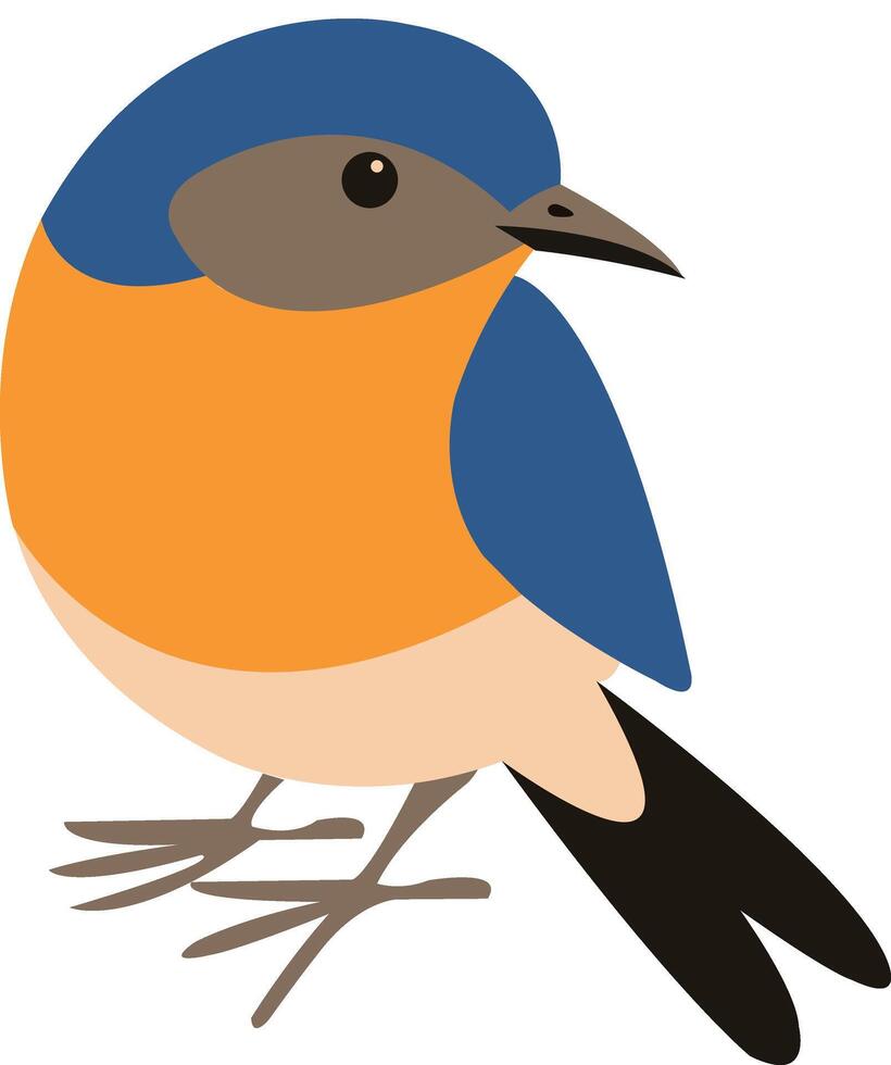 baby cute colorful bird illustration icon vector
