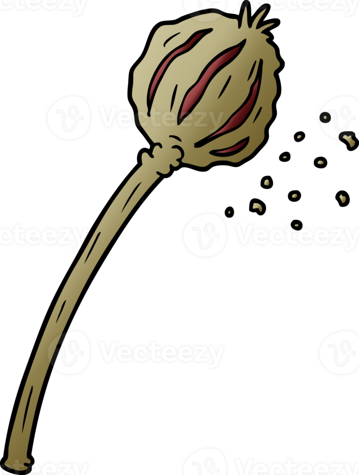 dried poppy cartoon png