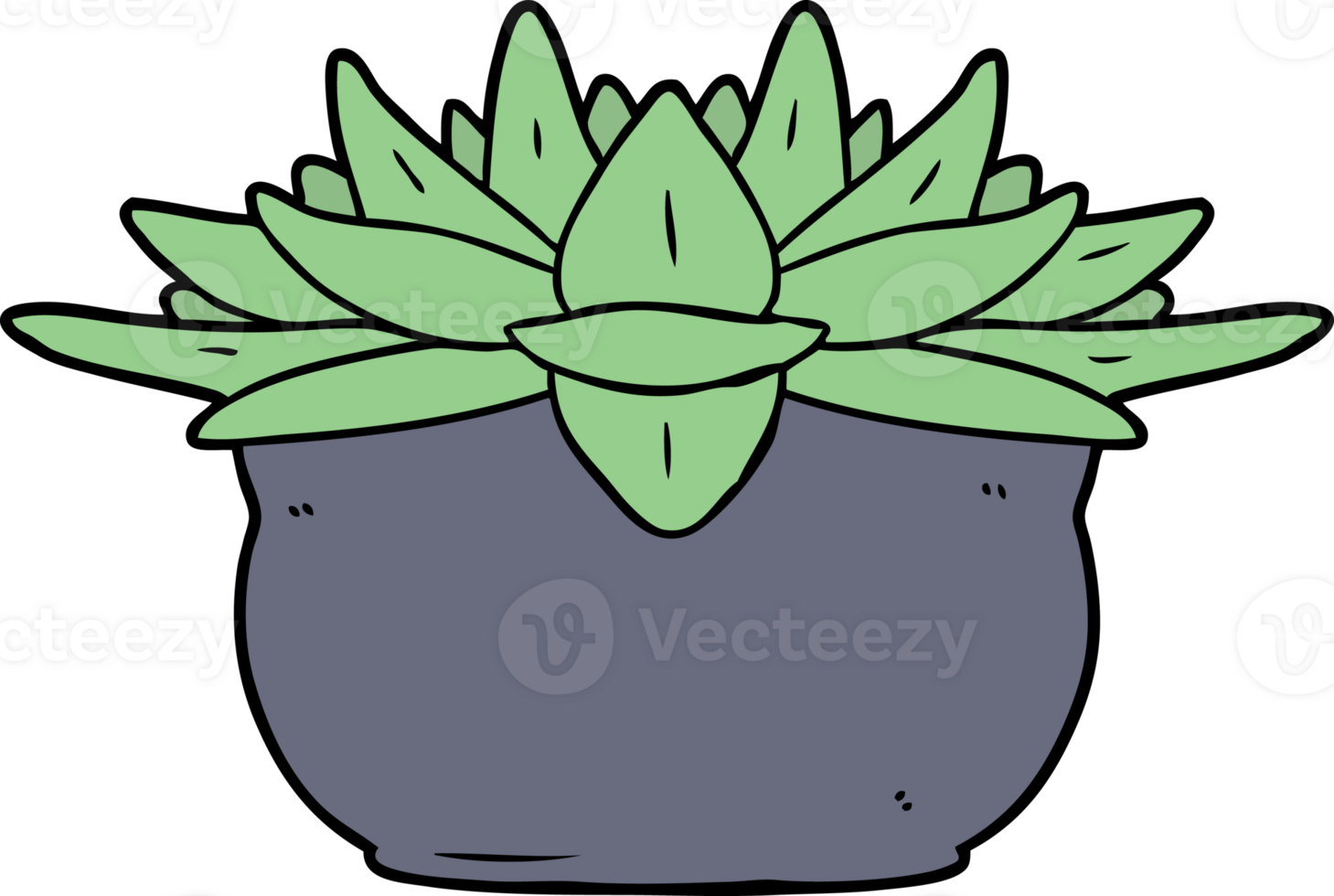 cartoon succulent plant png