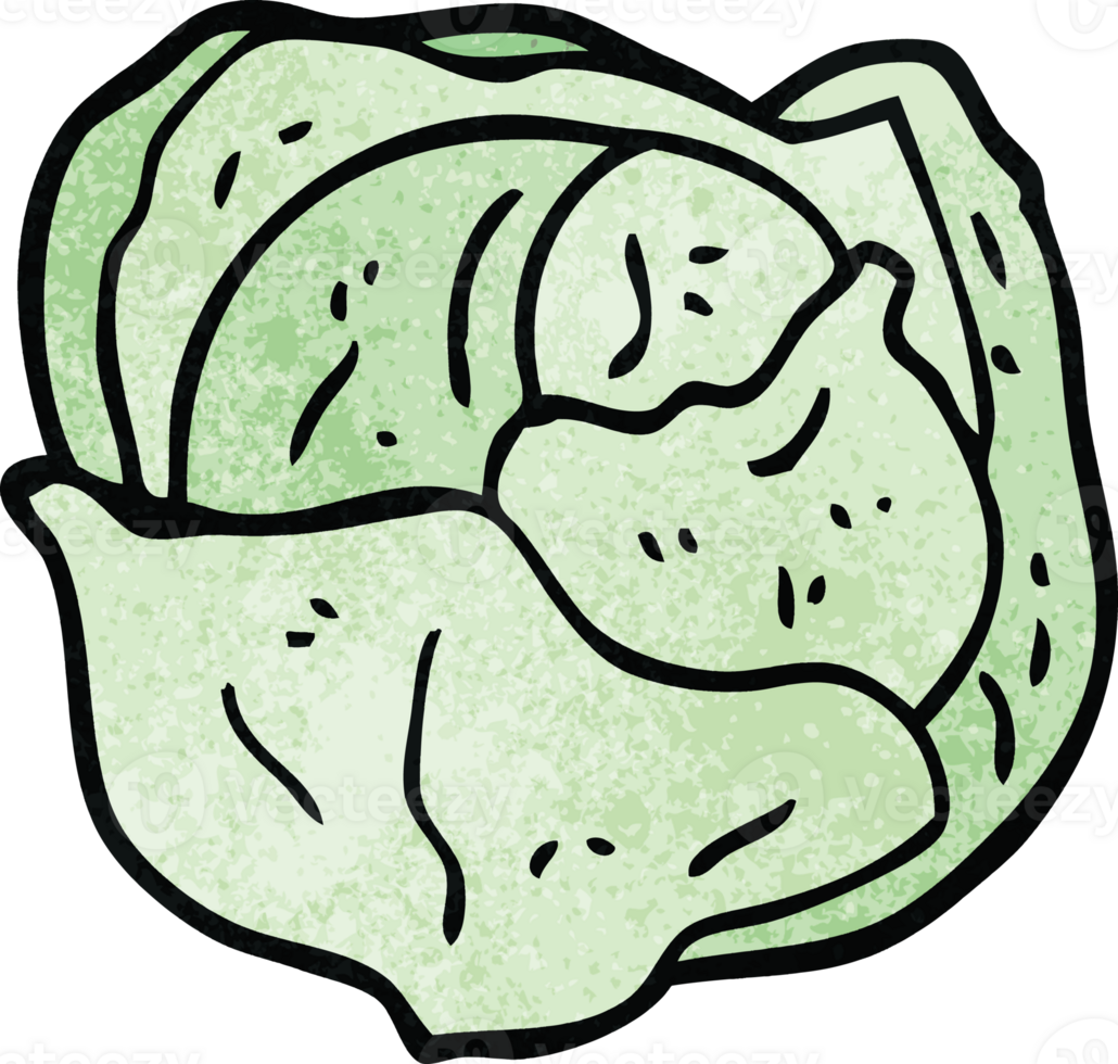 cartoon doodle organic lettuce png