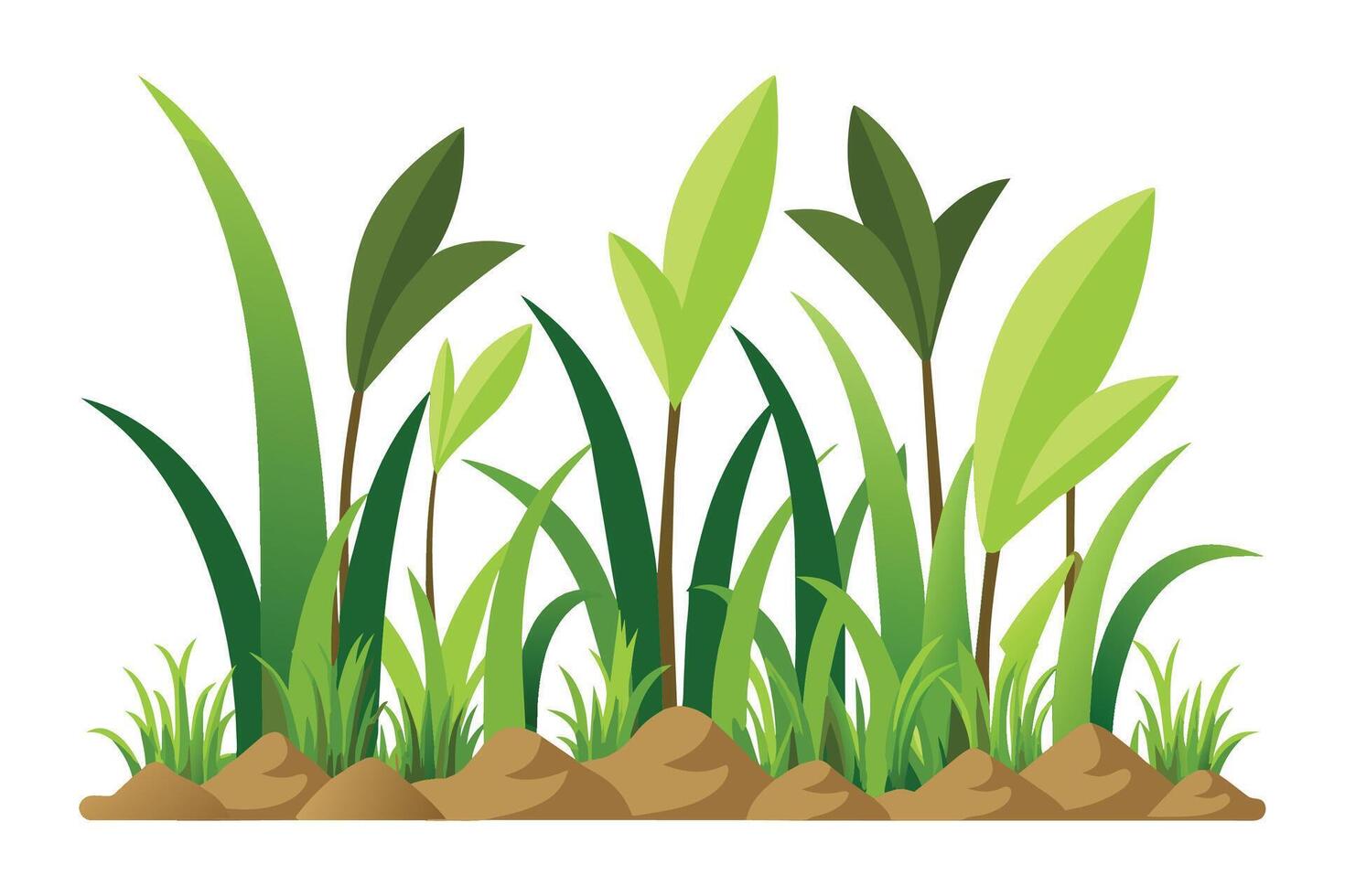 High tropics grass meadow flora growth row, flat illustration vector