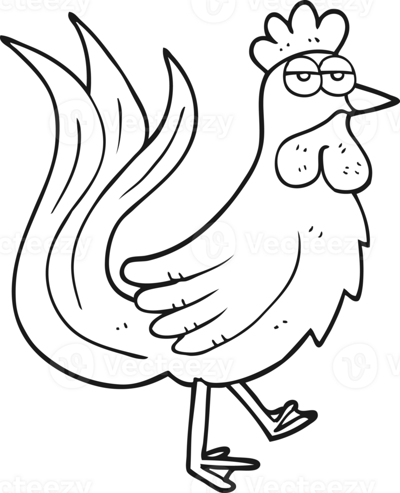 hand drawn black and white cartoon cock png