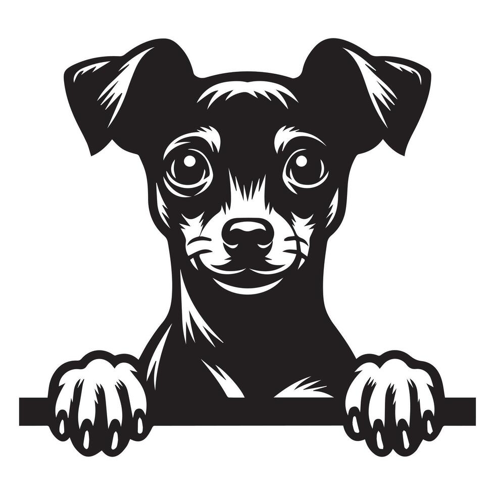 Dog Peeking - Miniature Pinscher Dog Peeking face illustration in black and white vector