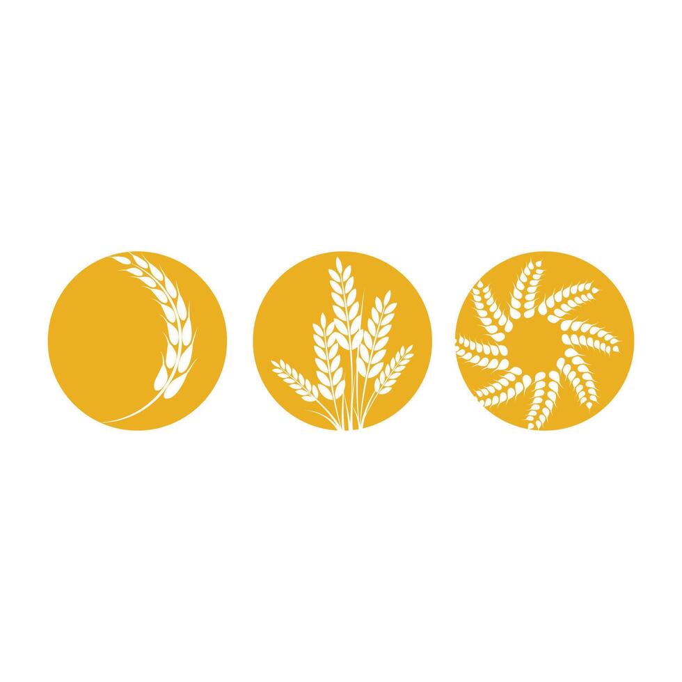 Agriculture wheat logo template and symbol vector