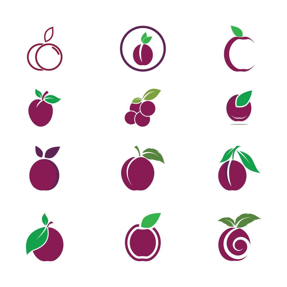 Plum logo template and symbol vector