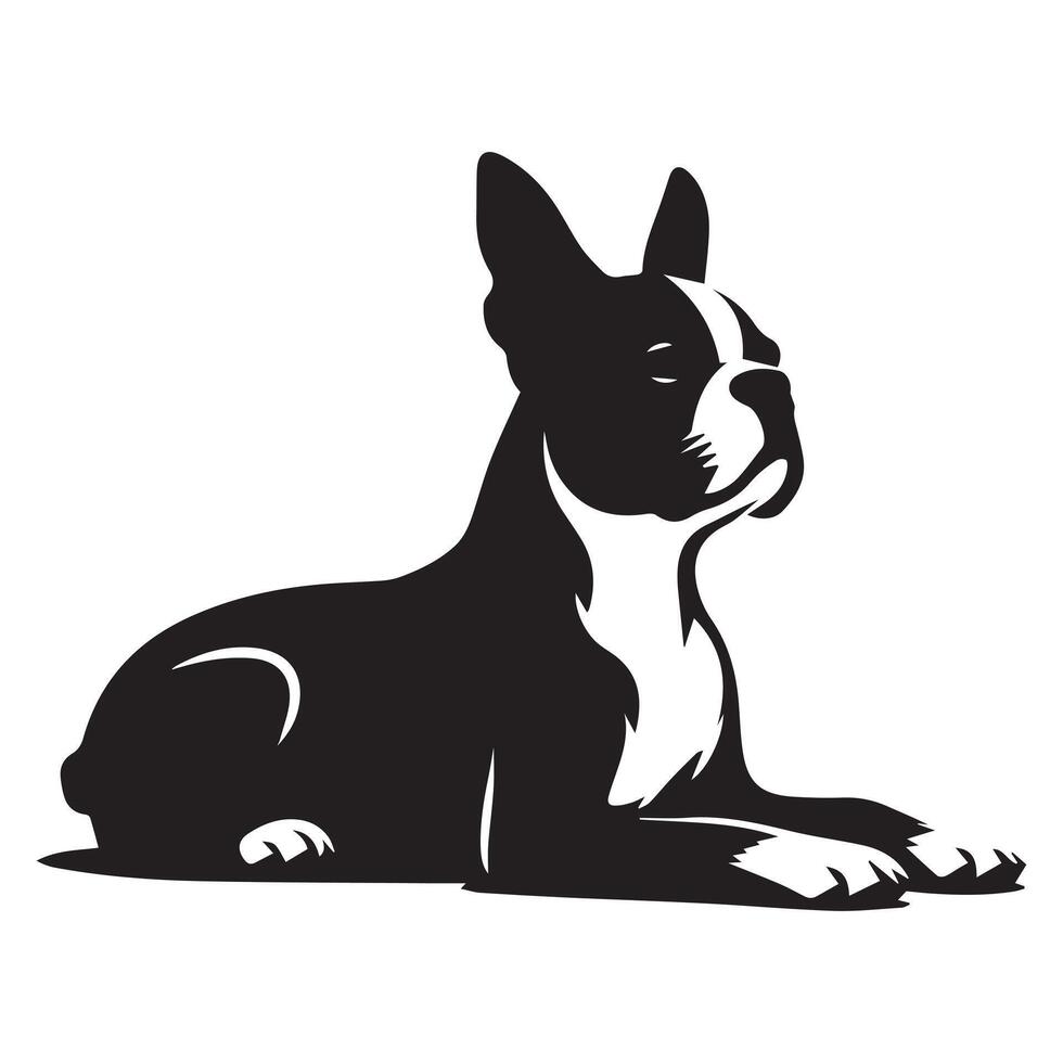 A Relaxed Boston Terrier dog illustration in Black and white vector