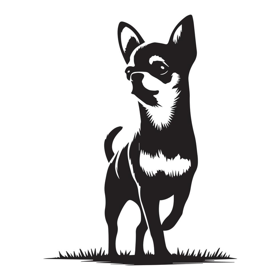 Exploring Chihuahua in City illustration in black and white vector