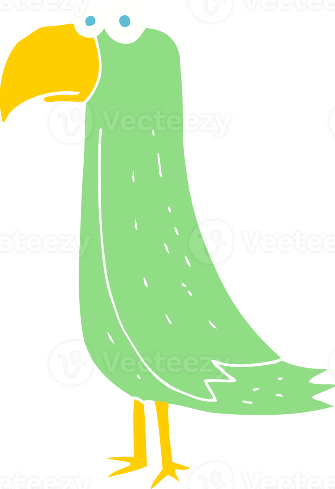 flat color illustration of parrot png