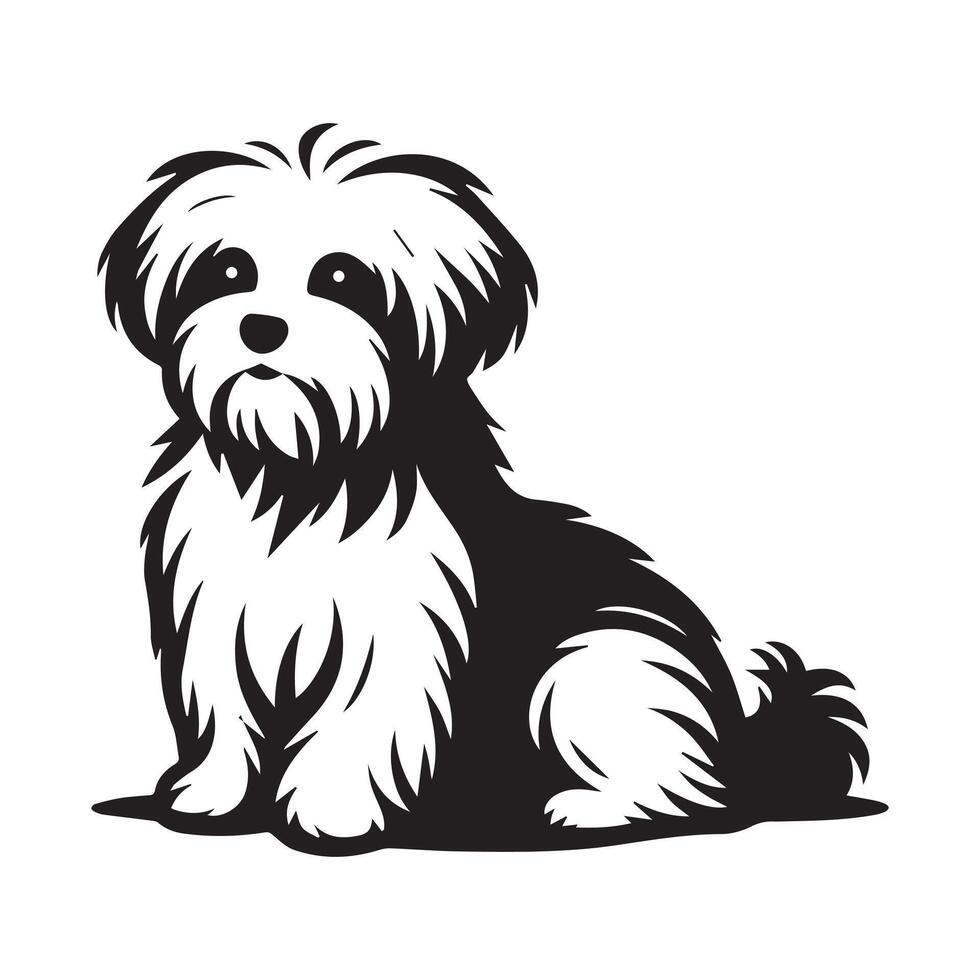 Comforting Maltese illustration in black and white vector