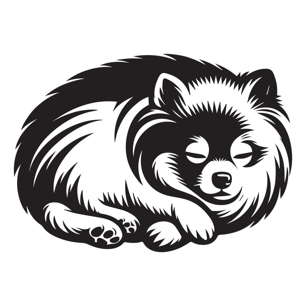 illustration of A Pomeranian Dog sleepy in black and white vector