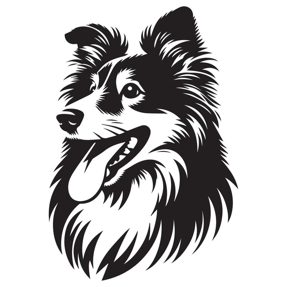 Shetland Sheepdog - A Playful Sheltie dog face illustration in black and white vector