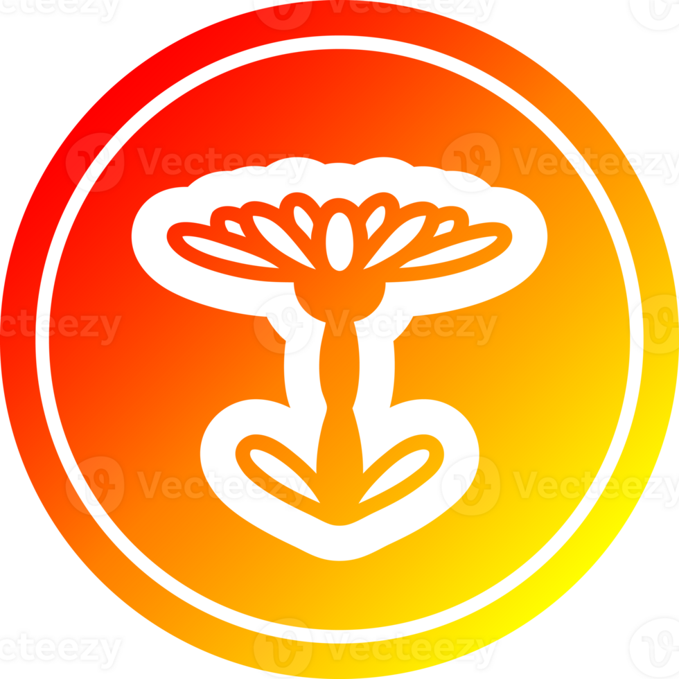 blooming flower circular icon with warm gradient finish png